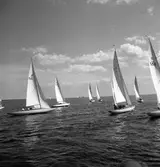 SM i segling. 1946