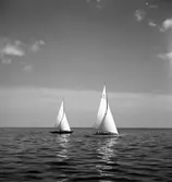 SM i segling. 1946