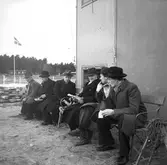 Amatörloppet, travet 14/4 1946.

