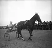 Amatörloppet, travet 14/4 1946.

