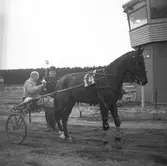 Amatörloppet, travet 14/4 1946.

