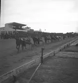 Amatörloppet, travet 14/4 1946.

