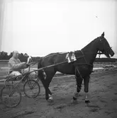Amatörloppet, travet 14/4 1946.

