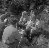 Landskapsmatchen i orientering mellan Gästrikland och Uppland.
1946