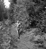 Landskapsmatchen i orientering mellan Gästrikland och Uppland.
1946