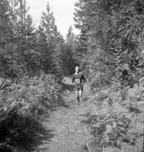 Landskapsmatchen i orientering mellan Gästrikland och Uppland.
1946
