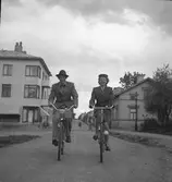 Källarmästare.

Herr och Fru Vinter 1946
