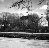 Gävle slott och delar av Gavleån.