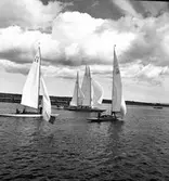 Segelbåtar.