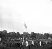 Svenska Flaggans Dag. 1943