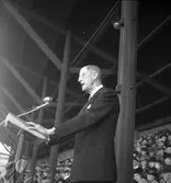 Svenska Flaggans Dag. 1943