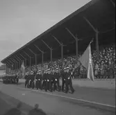 Svenska Flaggans Dag. 1943
