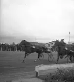 Poängloppet på Gävle Travet.

26 april 1943.