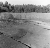 Vänersnäs, hällristning