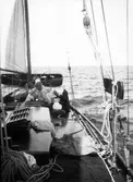 S/y 