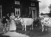 Kvinna med kor.
