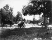 Utflykt med häst och kärra (åsna och kärra).