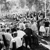 Arbrå,
Hälsingehambon,
Fornhemmet,
1971