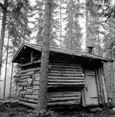 Arbrå,
Änga-Nybo,
Juni 1971