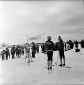 Arbrå,
I björnens spår,
April 1971