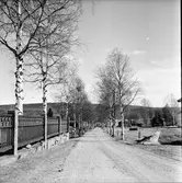 Undersvik,
Kyrkan och kantor Edlund,
Juli 1971