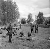 Bollnäs,
Stagården,
Televerkets driftsvärn,
6 September 1966