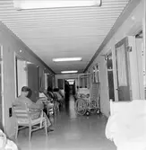 Stenlund Göran,
Sångare,
23 Juni 1964
