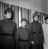 Stagården, Nygården,
Ankarcrona, Westerlund,
17 Februari 1967