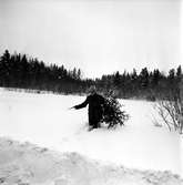 Snö på skogen,
24 December 1965