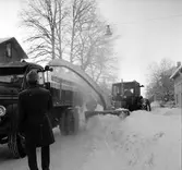 Snöslunga,
21 December 1965