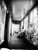 Östhammars lasarett, Uppland