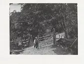 Severins systerson Karl (född 1876) öppnar en grind över vägen. Björsgård.
