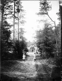 Gården Lugnet, Börstil, Uppland