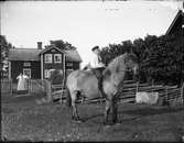 Pojke sitter på häst, Östhammar, Uppland