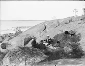 Picknick på klipporna, Östhammar, Uppland