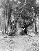 Josef, Sara och en man står vid skogsstigen lutade mot träd,  Östhammar, Uppland