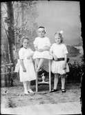 Ateljéporträtt - tre flickor, Östhammar, Uppland 1919
