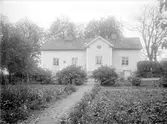 Cedersberg 1921.