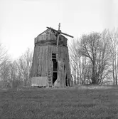 Väderbiten väderkvarn.