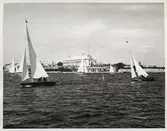 Segelbåtar ute till sjöss.