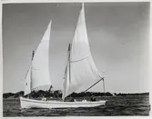 Segelbåt på gång.