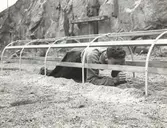 Krypande man i tunnel.