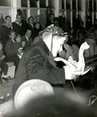 Folk vid flottans bassäng.