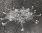 Damer i simuppvisning.