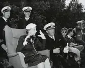 Drottning Louis/Kikare.