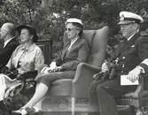 Drottning Louis/Kikare.