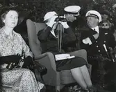 Drottning Louis/Kikare.