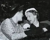 Drottning Louis i samspråk.