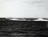 Fler jagare på väg.