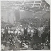 Publik i boxningshall